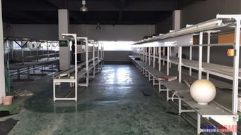 制造業(yè)升級與軟件開發(fā)融合 鄭州電子廠自動化與揚(yáng)州軟件開發(fā)的協(xié)同發(fā)展